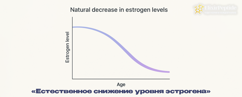 Естественное снижение уровня эстрогена .png