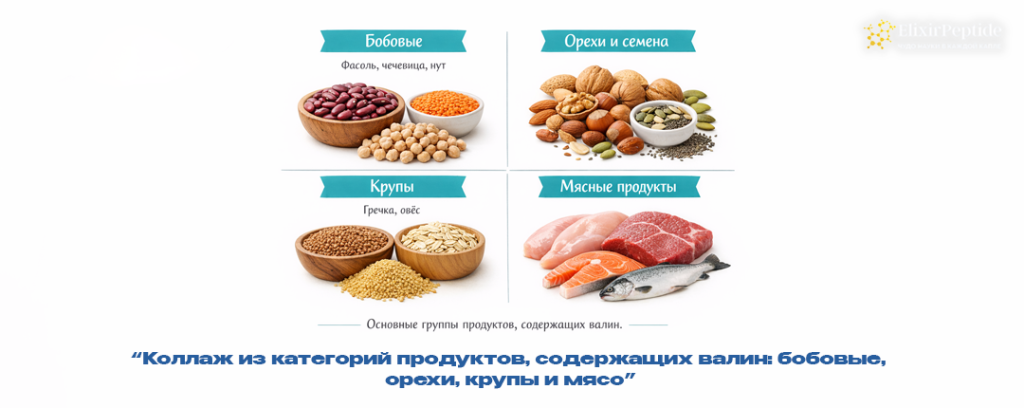 Коллаж из категорий продуктов содержащих валин- бобовые орехи крупы и мясо.png Коллаж из категорий продуктов содержащих валин- бобовые орехи крупы и мясо.png