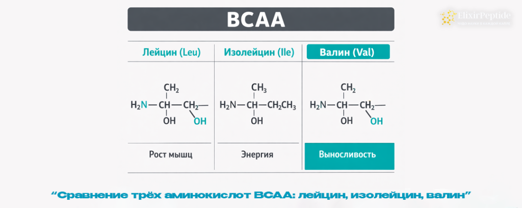 Сравнение трёх аминокислот BCAA- лейцин изолейцин валин.png Сравнение трёх аминокислот BCAA- лейцин изолейцин валин.png