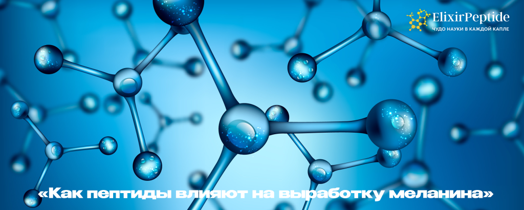 Как пептиды влияют на выработку меланина.png