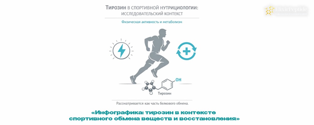 Инфографика- тирозин в контексте спортивного обмена веществ и восстановления .jpg Инфографика- тирозин в контексте спортивного обмена веществ и восстановления .jpg