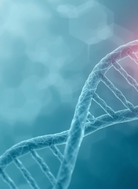 Почему стареет организм