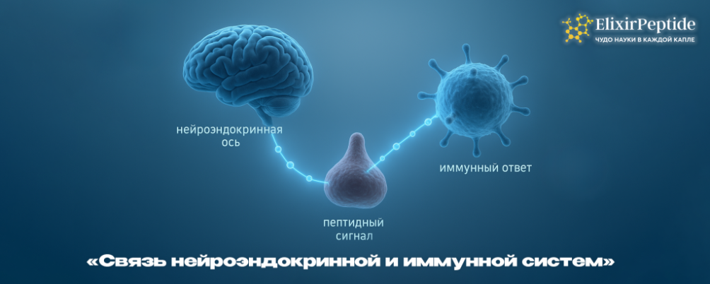 Как поднять прогестерон у женщин