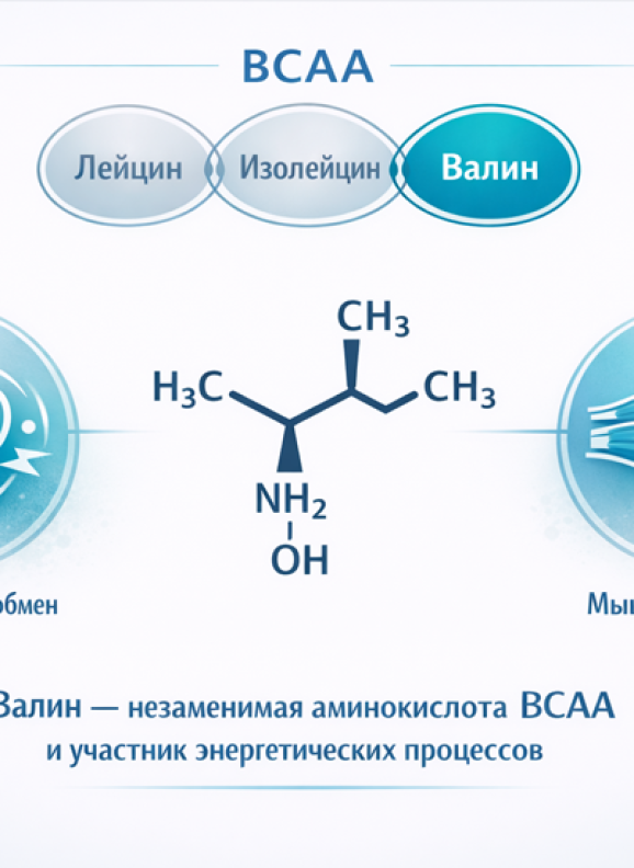 Что такое валин и какую роль он играет в организме